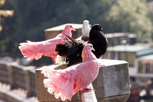 择战略性休 择战略性休