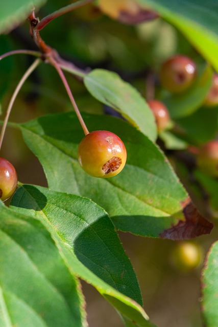 意识到了这 意识到了这