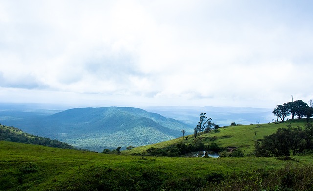 范围内无处 范围内无处