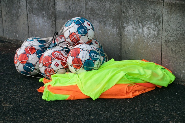 老骥伏枥 老骥伏枥