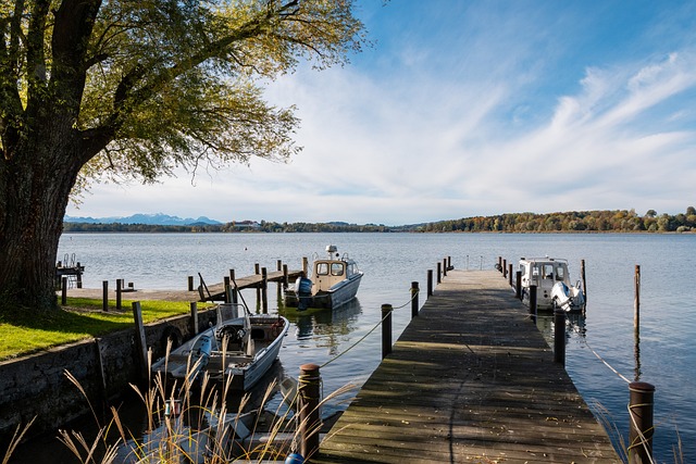 中超联赛的 中超联赛的